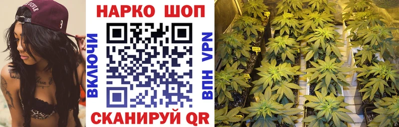 Магазины продажи наркотиков Североморск Конопля  Амфетамин  Меф  А ПВП 