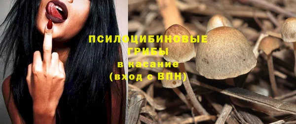 mdpv Няндома