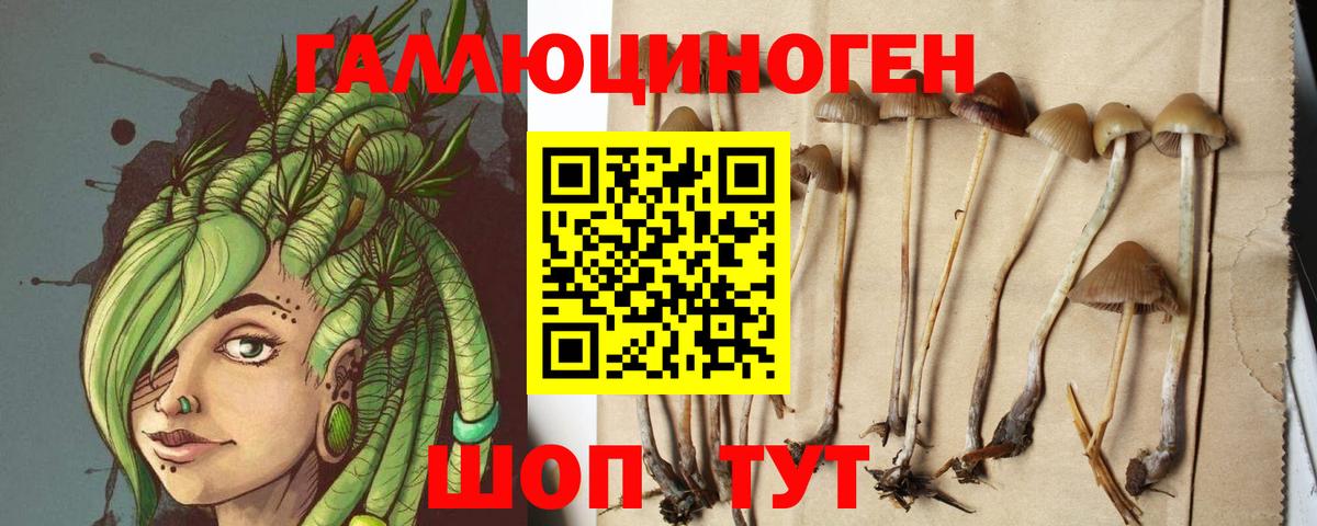 Псилоцибиновые грибы GOLDEN TEACHER  Североморск 