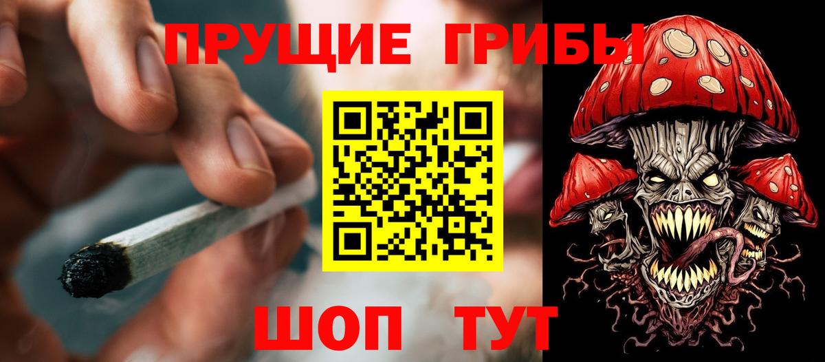 Псилоцибиновые грибы Psilocybine cubensis  купить закладку  Вход с VPN  Североморск  Псилоцибиновые грибы мухоморы 